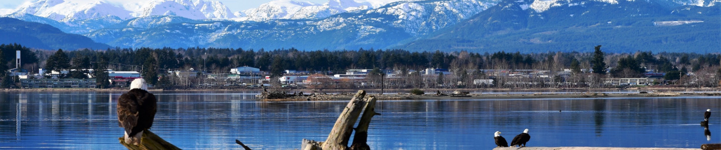 Vancouver Island Opportunity