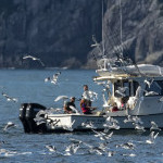 Group Profile photo of Fishing Vancouver Island